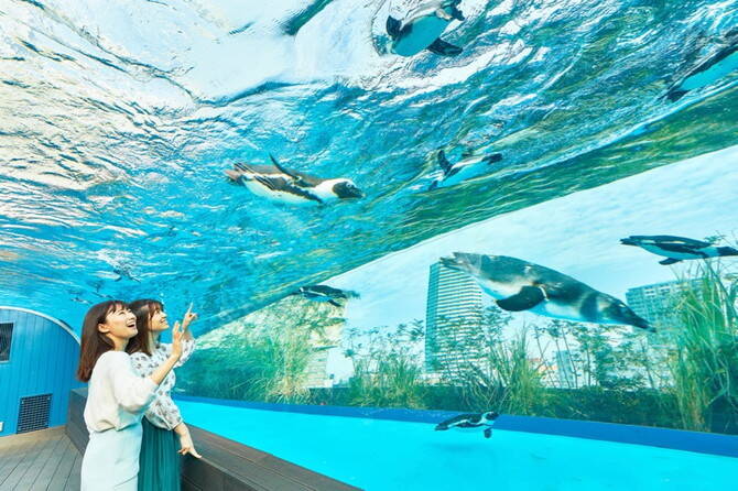 池袋 サンシャイン水族館を楽しむ方法 料金や所要時間 まわり方 周辺グルメなど 19年6月12日 エキサイトニュース 14 24