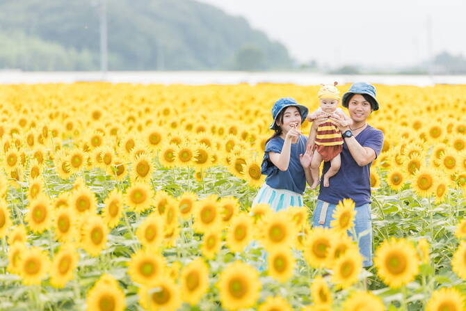 フォトジェニックな ひまわり畑 14選 思い出に残る写真が撮れる 全国 19年6月22日 エキサイトニュース 2 7