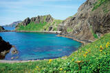 「【利尻島・礼文島】最北部の島で絶景を巡る旅をしよう！どっちも行くおすすめ観光プランも」の画像10