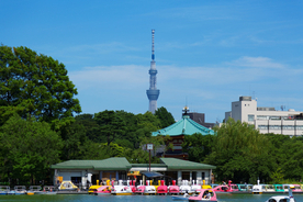 デートで上野に行くなら？カップルでのんびりできる公園や美術館、カフェなど13選