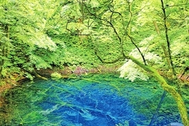 神秘的な青い湖面…太古の自然美…。美しい自然を堪能！東北の森絶景7選