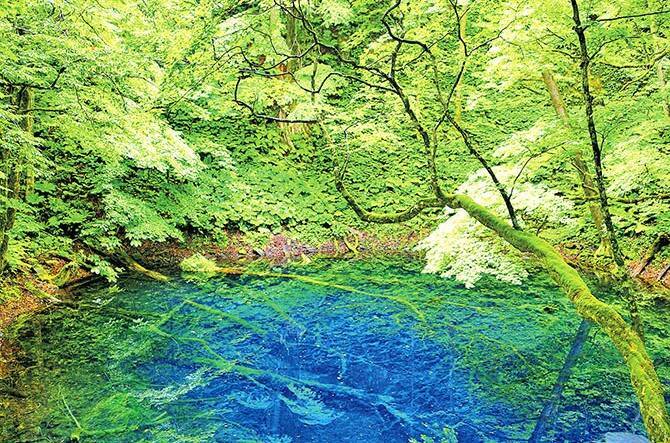 神秘的な青い湖面 太古の自然美 美しい自然を堪能 東北の森絶景7選 16年6月10日 エキサイトニュース