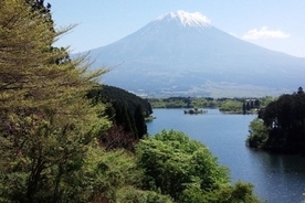 【静岡県】大室山・富士山など一度は訪れたい絶景スポット