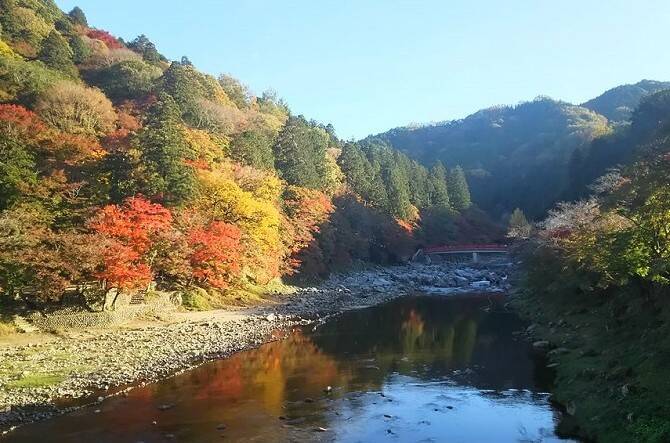 愛知県 香嵐渓 茶臼山高原 知多など一度は訪れたい絶景スポット 16年6月23日 エキサイトニュース