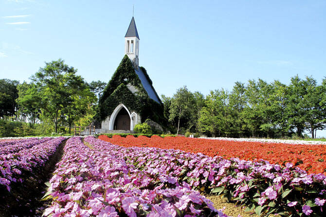 ひまわり ダリア コスモス 感動絶景の花畑名所7選 東海 16年7月10日 エキサイトニュース 3 5