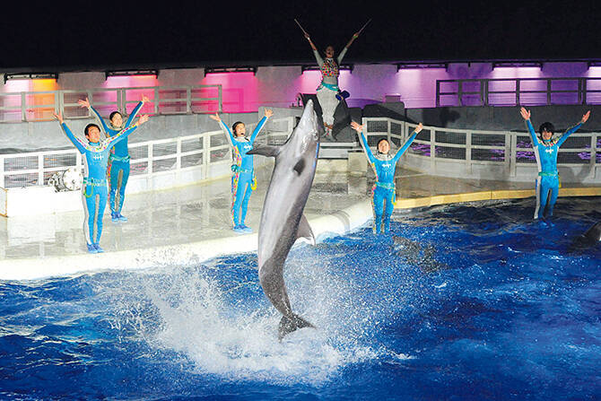 ロマンチック 夜の水族館で夏デートしよう おすすめ4選 関西 中国 16年7月24日 エキサイトニュース ロマンチック 夜の水族館で夏デートしよう おすすめ4選 関西 中国 16年7月24日 エキサイトニュース