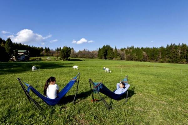 ハンモック 流しそうめん 花畑 夏の絶景高原ドライブ 岐阜 16年7月24日 エキサイトニュース