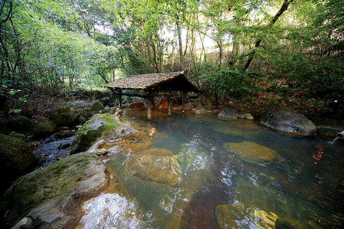 これぞ森林浴 マイナスイオンに包まれる 九州の森露天4 2016年7月28日 エキサイトニュース