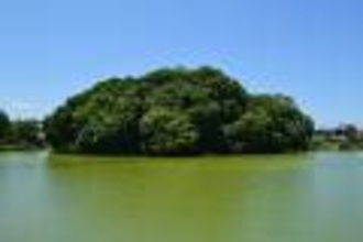 古代の天皇陵、実はほとんどが別人の墓！それでも宮内庁が頑なに学術調査を拒む理由【後編】