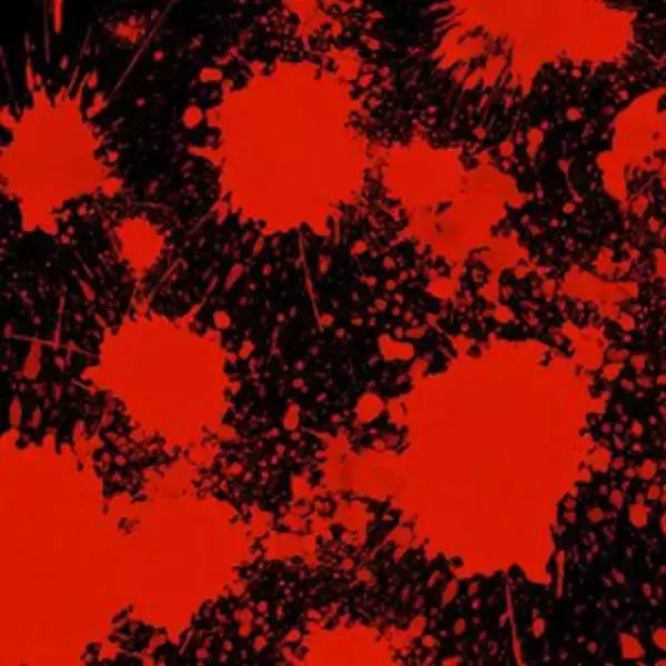 「「鎌倉殿の13人」奥州を滅ぼしたい頼朝、何とか止めたい後白河法皇…第21回放送「仏の眼差し」予習」の画像