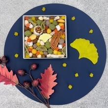 秋の風情を表現した色鮮やかな「ふきよせ」が和モダン和菓子ブランド『tamayose』から発売