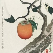 渋柿も甘くなる！？甘柿と渋柿の違いって何？柿の種類と味が変わるメカニズムまとめ