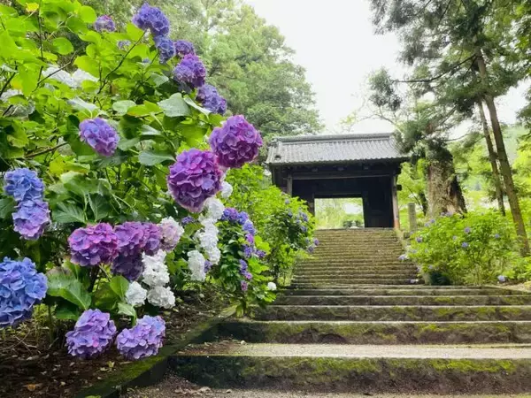 「あなたの「枕」は大丈夫？実は”魂が納まる蔵”だった「枕」にまつわる怖いお話【前編】」の画像