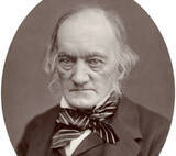 「日本で発見された恐竜はどんな恐竜？国内で見つかった化石の種類を紹介」の画像1