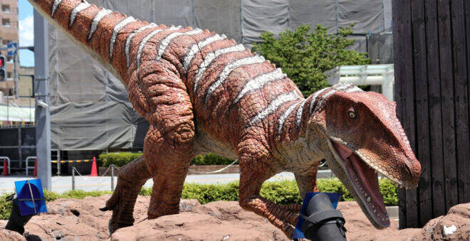 日本で発見された恐竜はどんな恐竜？国内で見つかった化石の種類を紹介