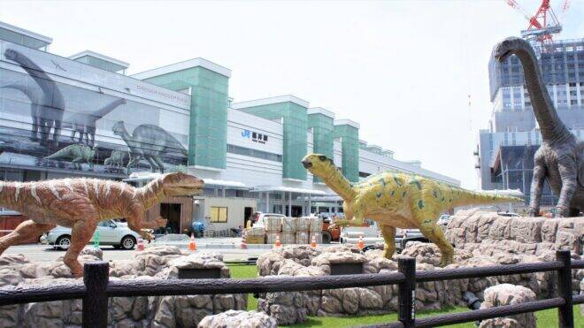 日本で発見された恐竜はどんな恐竜？国内で見つかった化石の種類を紹介