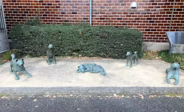 「日本人と「犬」の歴史。江戸時代には犬専用の飼育書「犬狗養畜伝」や大規模な犬小屋も登場」の画像