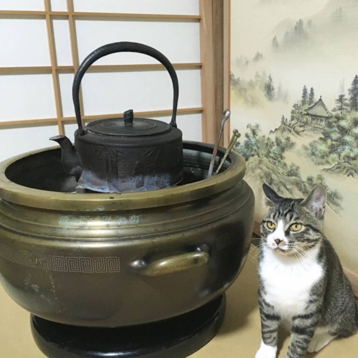 実は冬の季語 寅さんの口上でおなじみ 結構毛だらけ猫灰だらけ ってそもそも何 22年2月15日 エキサイトニュース