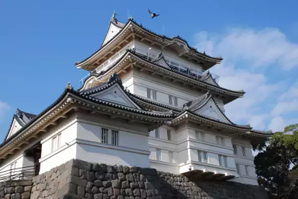 「義を守らずんば…豊臣秀吉の誘いを受けた大久保忠世の答えは【どうする家康】」の画像