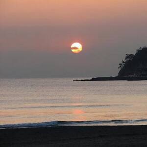 源実朝と前世の絆が？テイ龍進の演じる宋人・陳和卿とは何者か【鎌倉殿の13人】