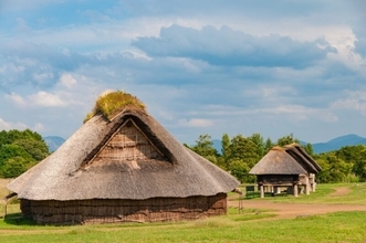 日本酒の始まり、実は「米」じゃない――古代の日本人が愛した“縄文ワイン”を示す証拠