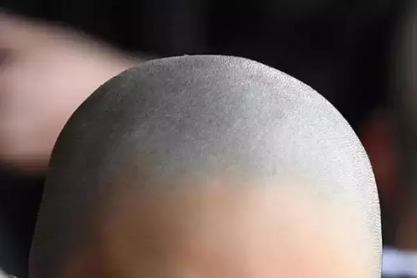 「「鎌倉殿の13人」ついに比企一族の滅亡。頼家が目を覚ますと…第31回放送「諦めの悪い男」振り返り」の画像