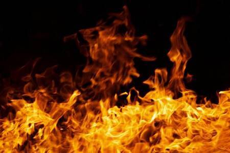 「鎌倉殿の13人」ついに比企一族の滅亡。頼家が目を覚ますと…第31回放送「諦めの悪い男」振り返り