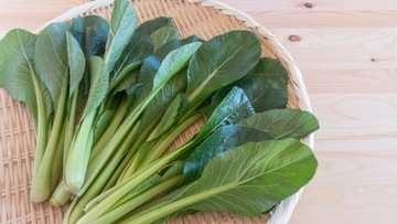 「小松菜」の名付け親は将軍・徳川吉宗？江戸時代まで遡る身近な野菜に隠された意外な歴史