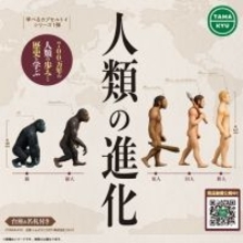猿から人間へ…700万年の人類の歩みと歴史を学ぶカプセルトイ「人類の進化」が発売