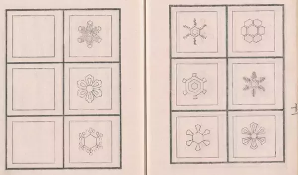「雪の結晶は江戸時代すでに観察されていた！あらゆる雪の結晶を20年かけてまとめた古文書「雪華図説」」の画像