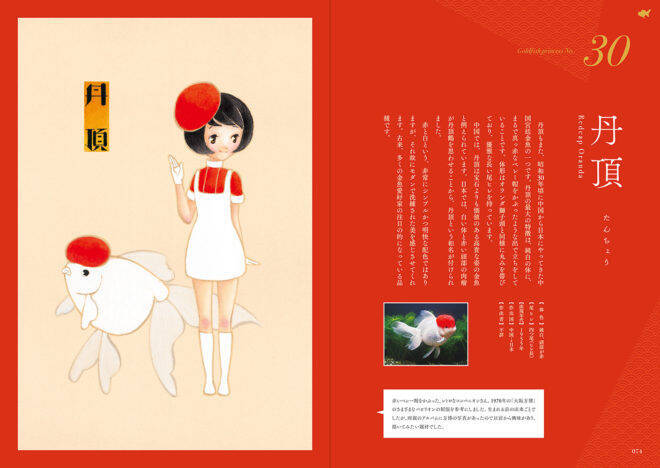 乙女チックで可愛い〜♡優雅に泳ぐ可憐な45種類の金魚たちを擬人化「金魚姫図鑑」