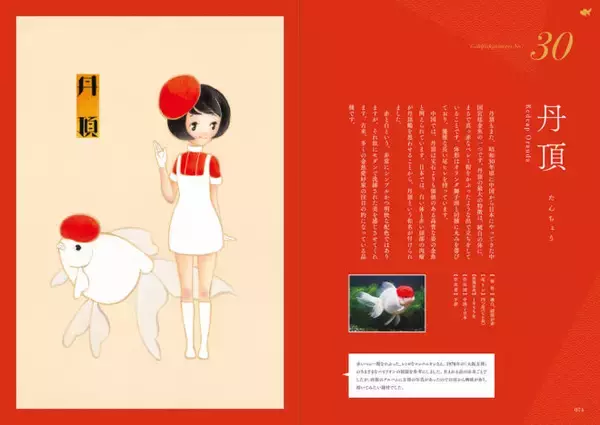 「乙女チックで可愛い〜♡優雅に泳ぐ可憐な45種類の金魚たちを擬人化「金魚姫図鑑」」の画像