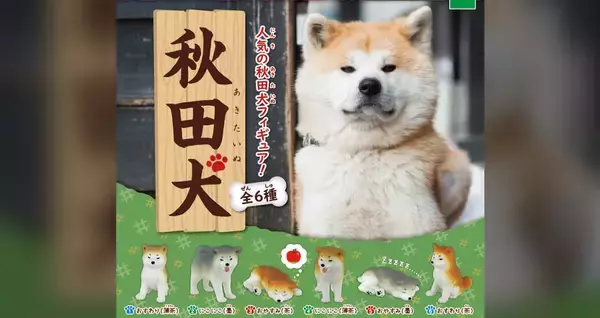 もふもふ感にほっこり♪大人気、秋田犬のミニフィギュアが可愛すぎるよ〜！