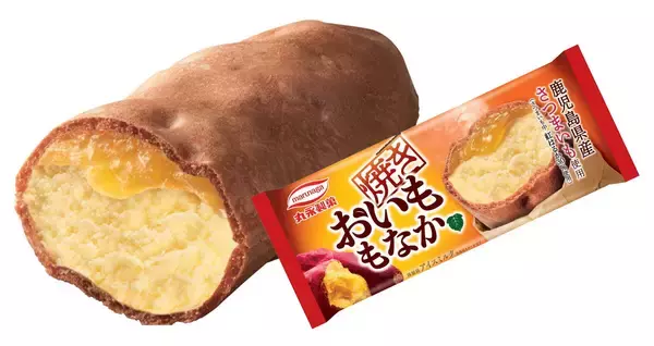 「見た目もまるで焼き芋！秋のほっこり味覚アイス「焼き おいももなか」新発売」の画像