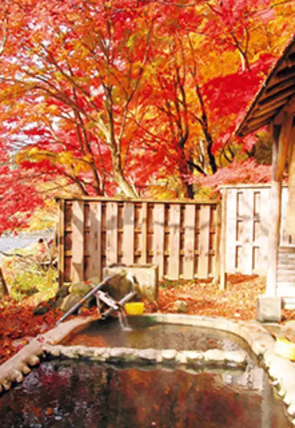 「今年は紅葉と温泉のコラボで癒やしを！「この秋行きたい紅葉温泉ランキング」をじゃらんが発表」の画像