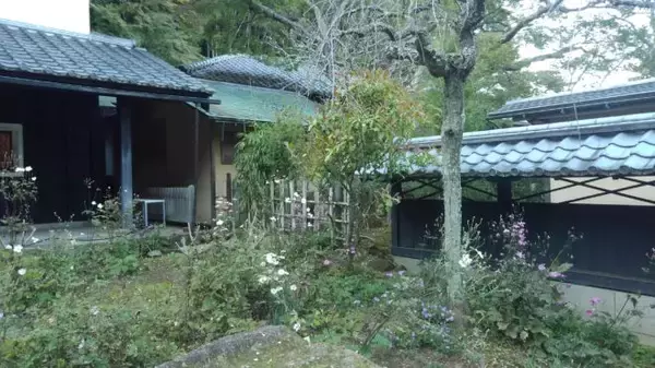 「君が代の「さざれ石」もある北鎌倉・東慶寺は、かつて男子禁制の縁切り寺だった」の画像