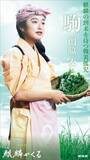 「NHK大河ドラマ「麒麟がくる」のキャストビジュアルが続々と公開！」の画像3