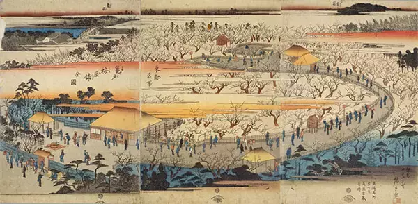 「「桜切る馬鹿、梅切らぬ馬鹿」という言葉知ってる？鈴木春信の浮世絵に見る江戸時代の梅の花」の画像