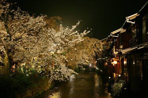 気分だけでも春を感じて 詠み継がれる日本の心 桜 がテーマの和歌おすすめ8首を紹介 年3月29日 エキサイトニュース