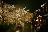 「気分だけでも春を感じて。詠み継がれる日本の心「桜」がテーマの和歌おすすめ8首を紹介」の画像3