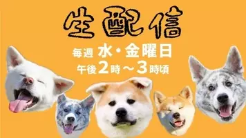 年もやっぱり 犬 は絶対的にカワイイ 年始ぐらい心がほっこりしたい人に贈るワンちゃん動画5選 年1月3日 エキサイトニュース