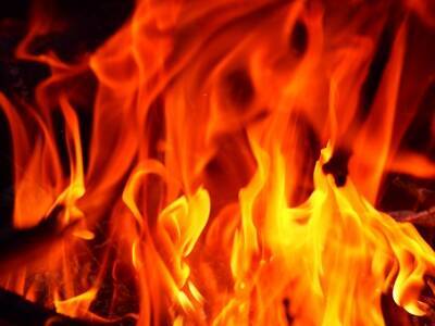 戦国時代、結婚を拒んで壮絶な最期を遂げた悲劇の美女・藤代御前の怨霊伝説【下】