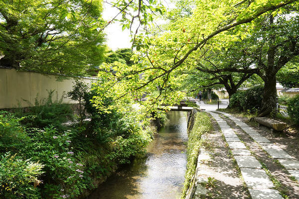 夏の京都はカップル成立率高し 涼しい 安い デートコース 南禅寺 哲学の道編 年8月12日 エキサイトニュース