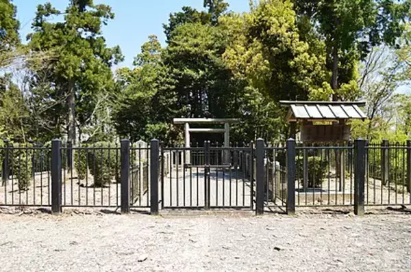 「引き裂かれた姉弟愛…。飛鳥時代に生きた姉・大伯皇女と弟・大津皇子の悲劇 【その１】」の画像