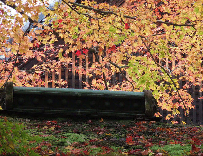 引き裂かれた姉弟愛…。飛鳥時代に生きた姉・大伯皇女と弟・大津皇子の悲劇 【その１】