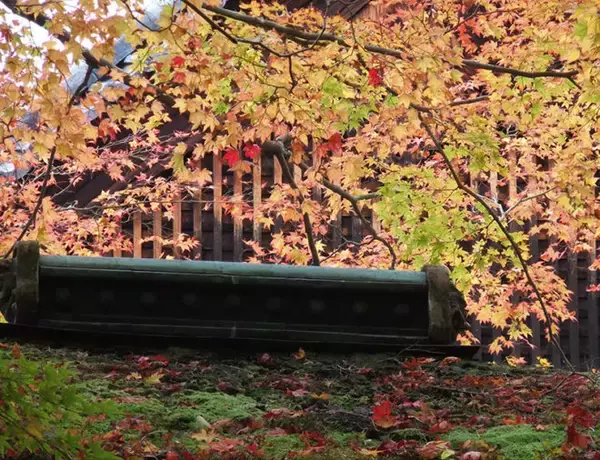 「引き裂かれた姉弟愛…。飛鳥時代に生きた姉・大伯皇女と弟・大津皇子の悲劇 【その１】」の画像