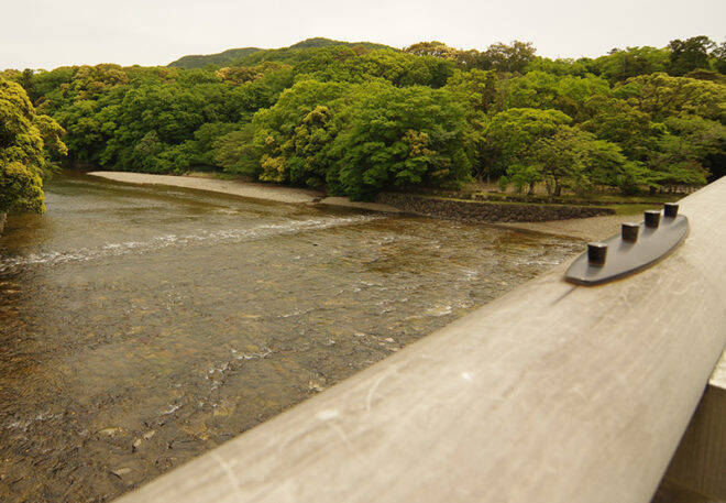 引き裂かれた姉弟愛…。飛鳥時代に生きた姉・大伯皇女と弟・大津皇子の悲劇 【その１】