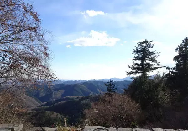 「あの「三密」とはもともと空海の教えの言葉だった。高尾山に存在する「三密の道」とは！？」の画像