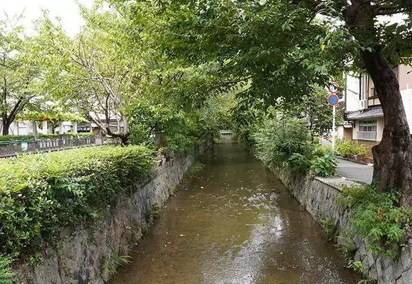 「京都に残る旧色街「五条楽園」。ディープな遊郭・お茶屋の街からレトロで個性あふれる街へ【その3】」の画像