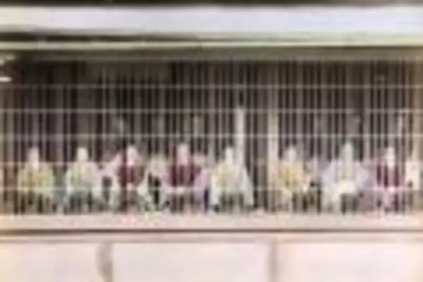 「京都に残る旧色街「五条楽園」。ディープな遊郭・お茶屋の街からレトロで個性あふれる街へ【その3】」の画像